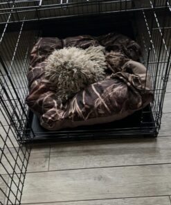 MidWest Homes for Pets Newly Enhanced Single Door iCrate Dog Crate, Includes Leak-Proof Pan, Floor Protecting Feet, Divider Panel & New Patented Features iCrate; Single Door 48.0"L x 30.0"W x 33.0"H 33 715NdkneDTL