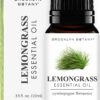Brooklyn Botany Lemongrass Essential Oil – 100% Pure and Natural Therapeutic Grade Essential Oil - Lemongrass Oil for Aromatherapy and Diffuser – 0.33 Fl Oz 0.33 Fl Oz (Pack of 1) 32 715NhhavRyL