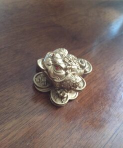 1 X Feng Shui Money Frog/Money Toad Attract Wealth 31 715OJbr7HpL