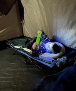 Regalo My Cot Portable Toddler Bed, Includes Fitted Sheet, Royal Blue , 48x24x9 Inch (Pack of 1) 43 715P UZBkPL