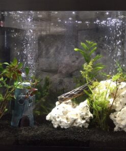 CaribSea Eco-Complete 20-Pound Planted Aquarium, Black 20 POUNDS 36 715PYPJV5TL