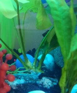 Loctite Super Glue Ultra Gel Control, Clear Superglue for Plastic, Wood, Metal, Crafts, & Repair, Cyanoacrylate Adhesive Instant Glue, Quick Dry - 0.14 fl oz Bottle, Pack of 1 36 715PgAZ5kL 1