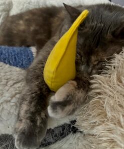 Yeowww! Yellow Banana Catnip Toy (2 Pack) 19 715Plhu6cSL