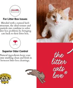 Dr. Elsey's Premium Clumping Cat Litter - Cat Attract - 99% Dust-Free, Low Tracking, Hard Clumping, Superior Odor Control, Natural Herbal Attractant, Unscented & Natural Ingredients, 40 lb 40 Lb / 18.14 Kg 25 715R9Z6OZ8L