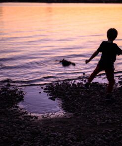 Nikon NIKKOR Z 50mm f/1.8 S | Premium large aperture 50mm prime lens (nifty fifty) for Z series mirrorless cameras | Nikon USA Model 56 715RB3cUcqL