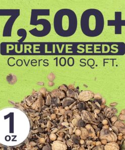 Wildflower Seeds Edible Flowers Mix - 1 Ounce Over 7,000 Open Pollinated Annual and Perennial Seeds 1 Ounce Packet 27 715RNWqDywL