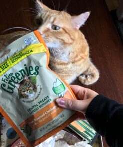 FELINE GREENIES Natural Dental Care Cat Treats Oven Roasted Chicken Flavor, 5.5 oz. Pack 31 715TU87AjFL