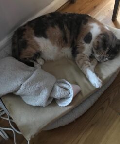 K&H Pet Products Heated Thermo-Kitty Mat, Indoor Heated Cat Bed, Pet Heat Pad for Indoor Cats and Small Dogs, Cat Heating Pad, Electric Thermal Warming Cat Bed Mat, Sage/Tan 12.5 X 25 Inches Pet Bed 47 715TqMfIEDL