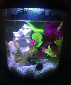 GloFish aquarium Gravel 5 Pounds, White, Complements GloFish Tanks (29022) White Frost 43 715URBn4oIL