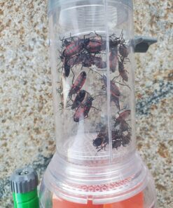 Nature Bound Bug Catcher Toy, Eco-Friendly Bug Vacuum, Catch and Release Indoor/Outdoor Play, Ages 6+ Retail Packaging 29 715VcG8BzPL