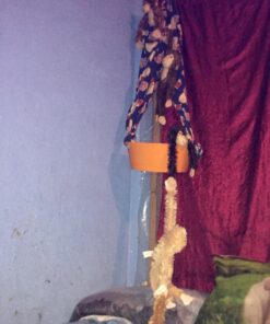 Fuzzy Friends 1 Each Burnt Orange, Blonde, Cream and Dark Brown Fuzzy Friends Plush Monkey with Velcro Hands Furry Stuffed Animal, Set of 4 Multicolored 28 715WxPHSCuL 1