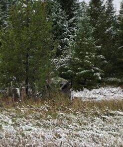 Ameristep Care Taker Kick Out Pop-Up Ground Blind, Premium Hunting Blind Realtree Edge 21 715XJ7FWP2L