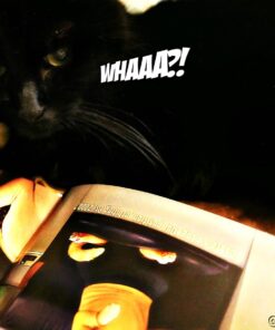 Star Trek Cats: (Star Trek Book, Book About Cats) (Star Trek x Chronicle Books) 13 715XXWbIIsL