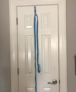 Stunt Stand® Door Flexibility & Stretching Leg Strap - Great for Cheer, Dance, Gymnastics or Any Sport! Free How-to-Use Links Included … Black 27 715YRLIuvjL