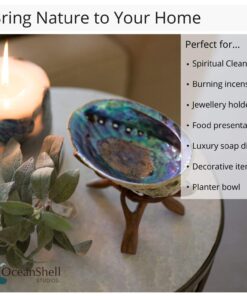 Natural Abalone (Pāua) Shell, with Stand,6-6.5 Inches,Supreme for Smudging,Cleansing Home,Meditation,Shell Crafts,Incense Holder,100% Natural, Sustainably Sourced by Ocean Shell Studios NZ 6"-6.5" 25 715Zo2QPytL