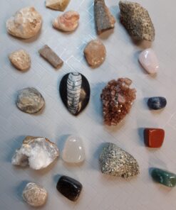 NATIONAL GEOGRAPHIC Mega Fossil Dig Kit - Excavate 15 Genuine Prehistoric Fossils, Kids Educational Toys, Great Science Kit Gift for Girls and Boys (Amazon Exclusive) 43 715Zzxl CL