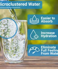 Aqua Ionizer Deluxe 5.0 | Water Ionizer | 7 Water Settings | Home Alkaline Water Filtration System | Produces pH 4.5-10.5 Alkaline Water | Up to -600mV ORP | 4000 Liters Per Filter 30 715bJoKBML