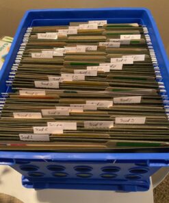 Amazon Basics Hanging File Folders, Letter Size, Standard Green, 1/5-Cut Tabs, 75 Count per box 75 Pack 39 715cbT7vVGL