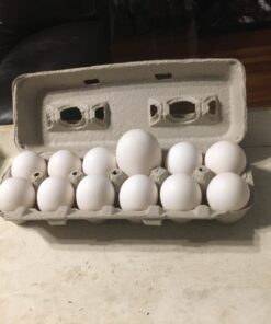 Egg Cartons - 250 Count 15 715dQmRm aL