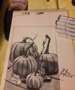 Copic Sketch Alcohol Marker 5 Colors + Multiliner SP Set, Sketching Grays Neutral Gray colors (N0, N2, N4, N6, and N8) and a Black 0.5 pen Marker Set 36 715eaDsZQBL