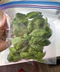 AeroGarden Sweet Bell Peppers Seed Pod Kit (9-pod) Tall Gardens Only Sweet Bell Pepper 36 715fQhoMQJL