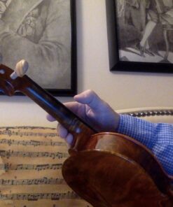 Peterson StroboClip HD Clip-On Tuner | Guitar, Bass, Violin, Ukulele, Harp, Brass, Woodwind, Orchestral Black 31 715fppRmIJL