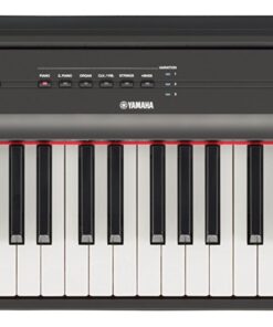 Alternative view of YAMAHA P125 88-Key Weighted Action Digital Piano with Power Supply and Sustain Pedal, Black Piano Only