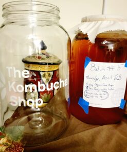 The Kombucha Shop Organic Kombucha Starter Kit - 1 Gallon Brewing Kit Includes All The Essentials Required for Brewing Kombucha At Home Regular 47 715i00hVMeL