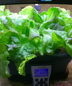 AeroGarden Heirloom Salad Greens Mix Seed Pod Kit - Salad Kit for AeroGarden Indoor Garden, 7-Pod 27 715ka4NgqXL