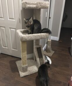 Wellington Cordage 11345 1/4-Inch X 100-Feet Natural Fiber Twisted Sisal Strand Rope / Twine 11 715nZUrmw6L