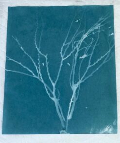 TEDCO 8" X 10" Sun Art Paper Kit - 12 Sheets 21 715oBUYxDjL