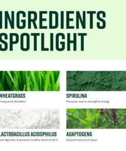 Vibrant Health, Green Vibrance, Vegan Superfood Powder, 15 Servings (FFP) 15 Servings (Pack of 1) Frustration-Free Packaging 15 715oRzPJhLL 1