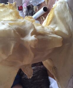 Kangaroo's Halloween Makeup Monster Liquid Latex I Quick Drying Liquid Latex Sfx Makeup Kit I Multi-Purpose Liquid Rubber White Face Paint for Zombie Makeup, Costume Makeup, Fake Scars 16oz Pint 41 715pD8zKiL