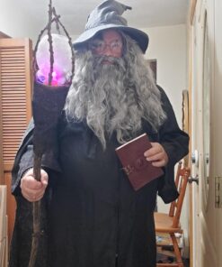 Rubies The Hobbit Gandalf Beard Costume Wig Kit- One Size 34 715paj66zDL