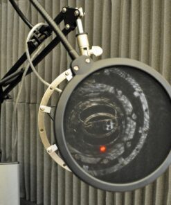 Neewer Microphone Arm Stand, Suspension Boom Scissor Mic Arm Stand with 3/8” to 5/8” Screw and Cable Ties Compatible with Blue Yeti, Snowball, Yeti X, Quadcast and Other Mics, Max Load 1.5kg 50 715pea1sIuL