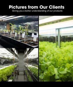 VIVOSUN T5 Grow Light Bulbs 54W 6500K HO Fluorescent Tubes Light Bulbs, Cool White T5 Bulb for 46 Inches T5 Light Fixtures, T5 Grow Lights for Indoor Plants, Pack of 5 54.0 Watts 25 715q0DkY6JL