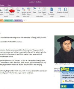 Individual Software PROFESSOR TEACHES OFFICE 2016 PC Disc 8 715rVBK5vRL