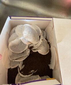 Tetley British Blend Premium Black, 80-Count Tea Bags, 7 Ounce, (Pack of 6) (Packaging may vary) 7 Ounce (Pack of 6) 17 715sld2HMzL