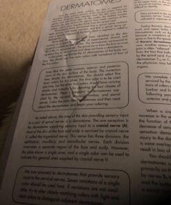 Anatomy Coloring Workbook, 4th Edition: An Easier and Better Way to Learn Anatomy Paperback, Coloring Book 18 715spbXKGjL