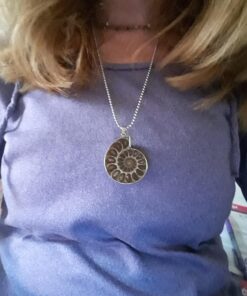 JOYA GIFT Charm Handmade Natural Conch Fossil Ammonite By Silver Wrapped Pendant Necklace (1 PCE). 45 715tBIGoGCL