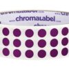 ChromaLabel 0.25 Inch Round Label Permanent Color Code Dot Stickers, 1000 Labels per Roll, Purple 20 715tPEbaLfL