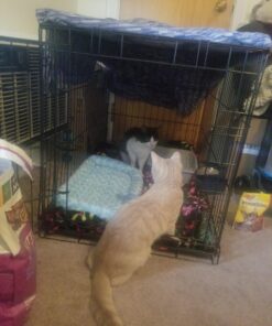 MidWest Homes for Pets Bolster Dog Bed 22L-Inch Blue Dog Bed or Cat Bed w/ Comfortable Bolster | Ideal for XS Dog Breeds & Fits a 22-Inch Dog Crate | Easy Maintenance Machine Wash & Dry 27 715tyTFr8bL