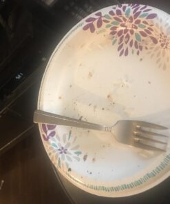 Dixie Everyday Paper Plates, 8 1/2", 480 Count, 10 Packs of 48 Plates, Lunch or Light Dinner Size Printed Disposable Plates 10 715wvdsBlpL