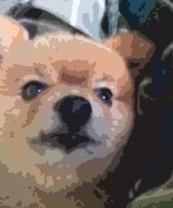 Four Paws Wee-Wee Superior Performance Pee Pads for Dogs - Dog & Puppy Pads for Potty Training - Dog Housebreaking & Puppy Supplies - 22" x 23" (150 Count),White 150 35 715xsrjJuxL