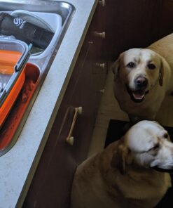 ustFlexWare Collapsible Sink with 2.25 Gal Wash Basin for Washing Dishes and Person During Camping, Hiking and Home 35 715yGtwsSrL