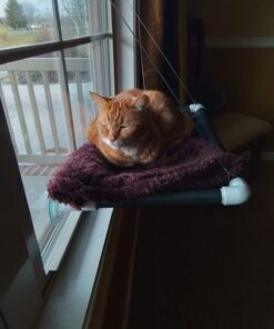 Kitty Cot Original World's Best Cat Perch (Large) Black Color Kitty Cot Large 40 7160SSmgpL