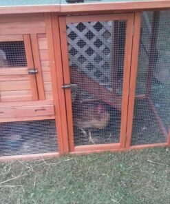 TRIXIE Pet Products Chicken Coop with Outdoor Run, 66.75 x 30.25 x 41.25 inches 66.8"L x 30.3"W x 41.3"H 70 7161g2P 0pL