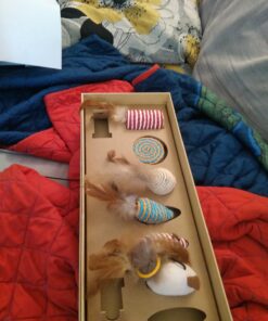 The Natural Pet Company Cat Toys Collection in Gift Box 25 7161hMFV5iL