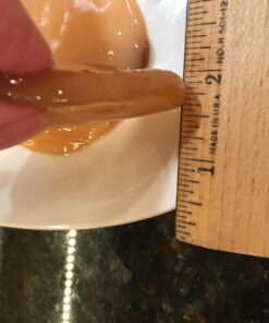 Poseymom Double Pack Kombucha Scobies and Starter Tea | (No Vinegar or Artificial Flavors Added) (Make 1/2 Gallon (1/2Cup Starter)Each 30 7161u4wCi3L