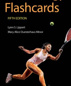 Kinesiology Flashcards